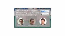 IMO Workshop